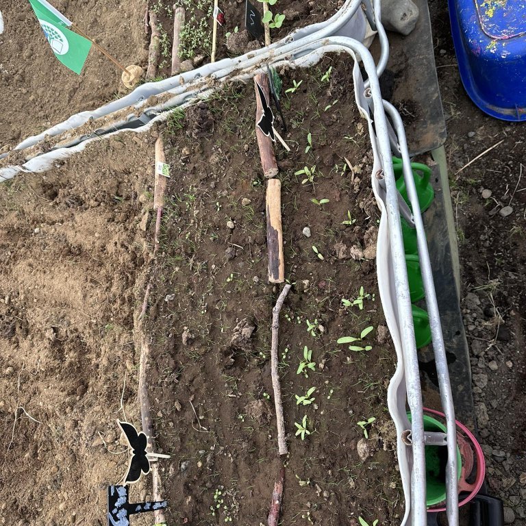 441675371_425958233542801_6208116775765969539_n