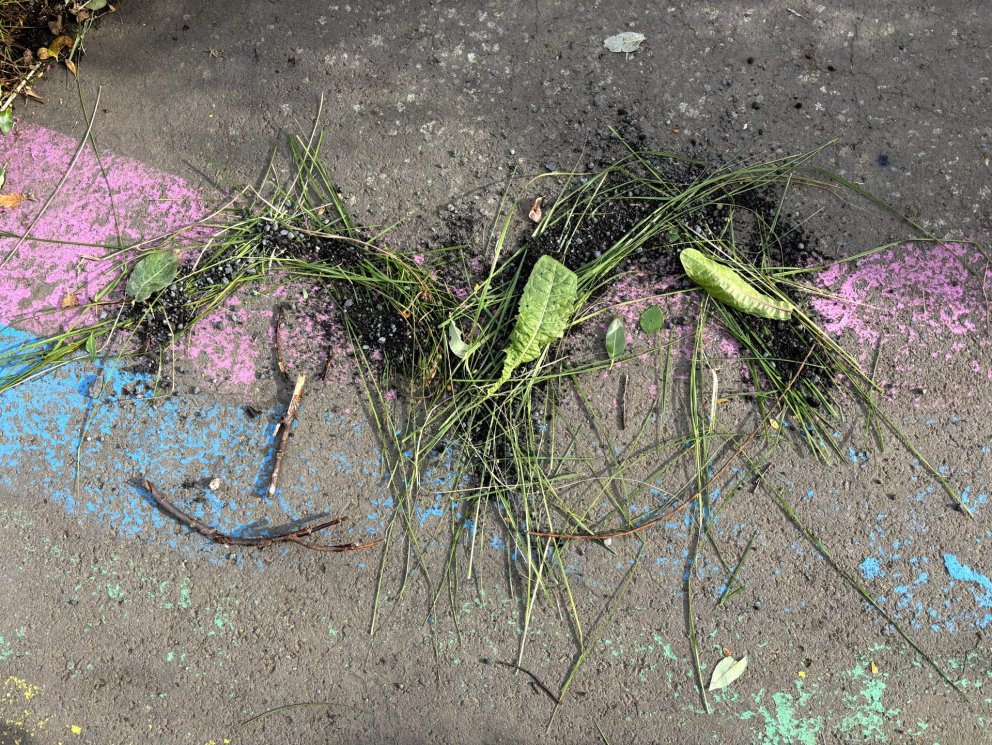 Dagur íslenskrar náttúru