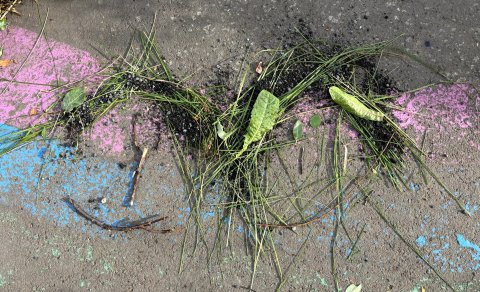 Dagur íslenskrar náttúru