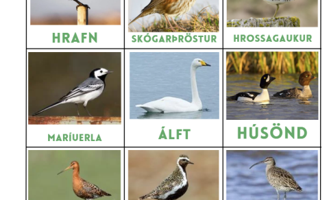 Dagskrá í maí